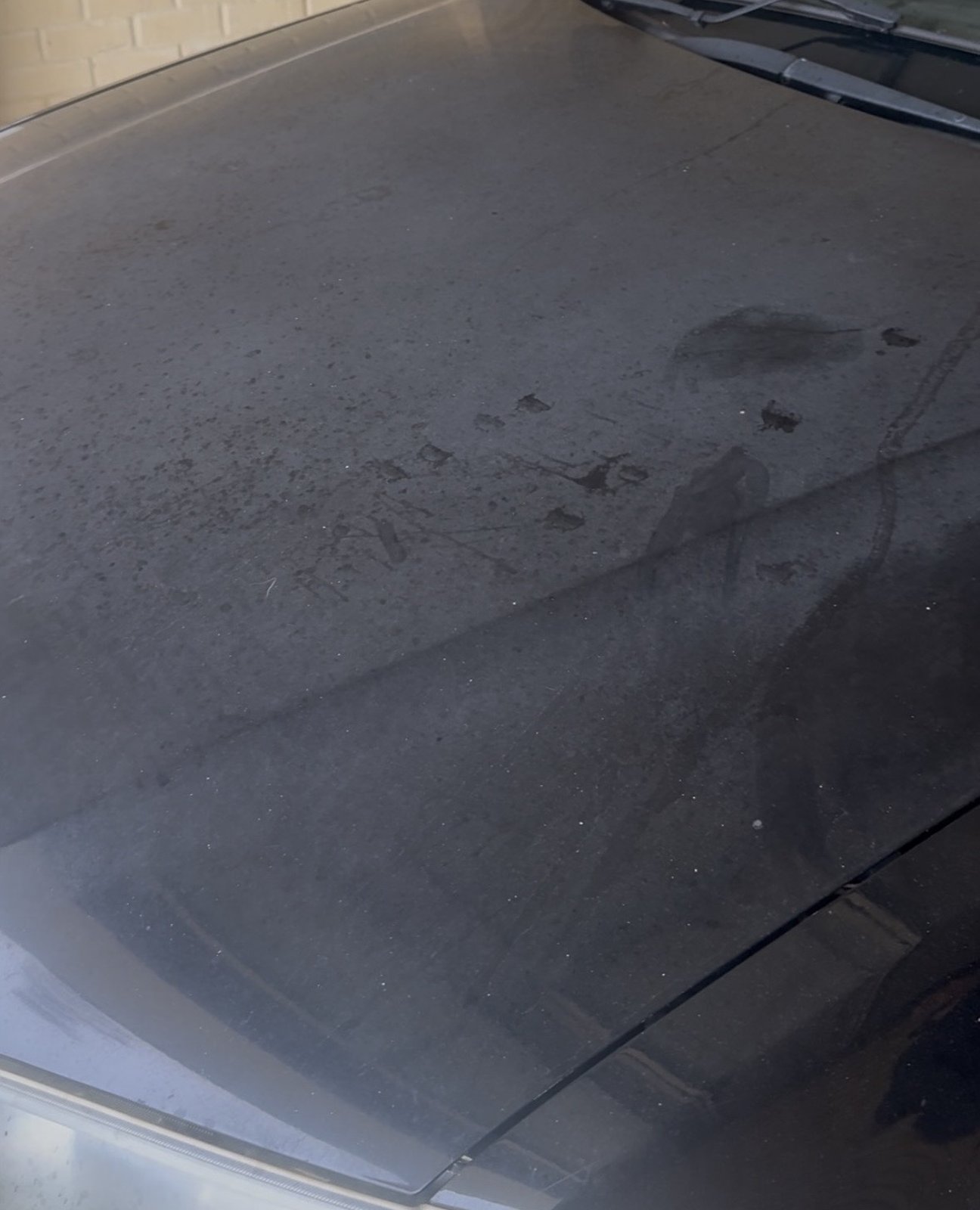 Paint correction before and after Mandurah — oxidised paint restored to mirror finish before